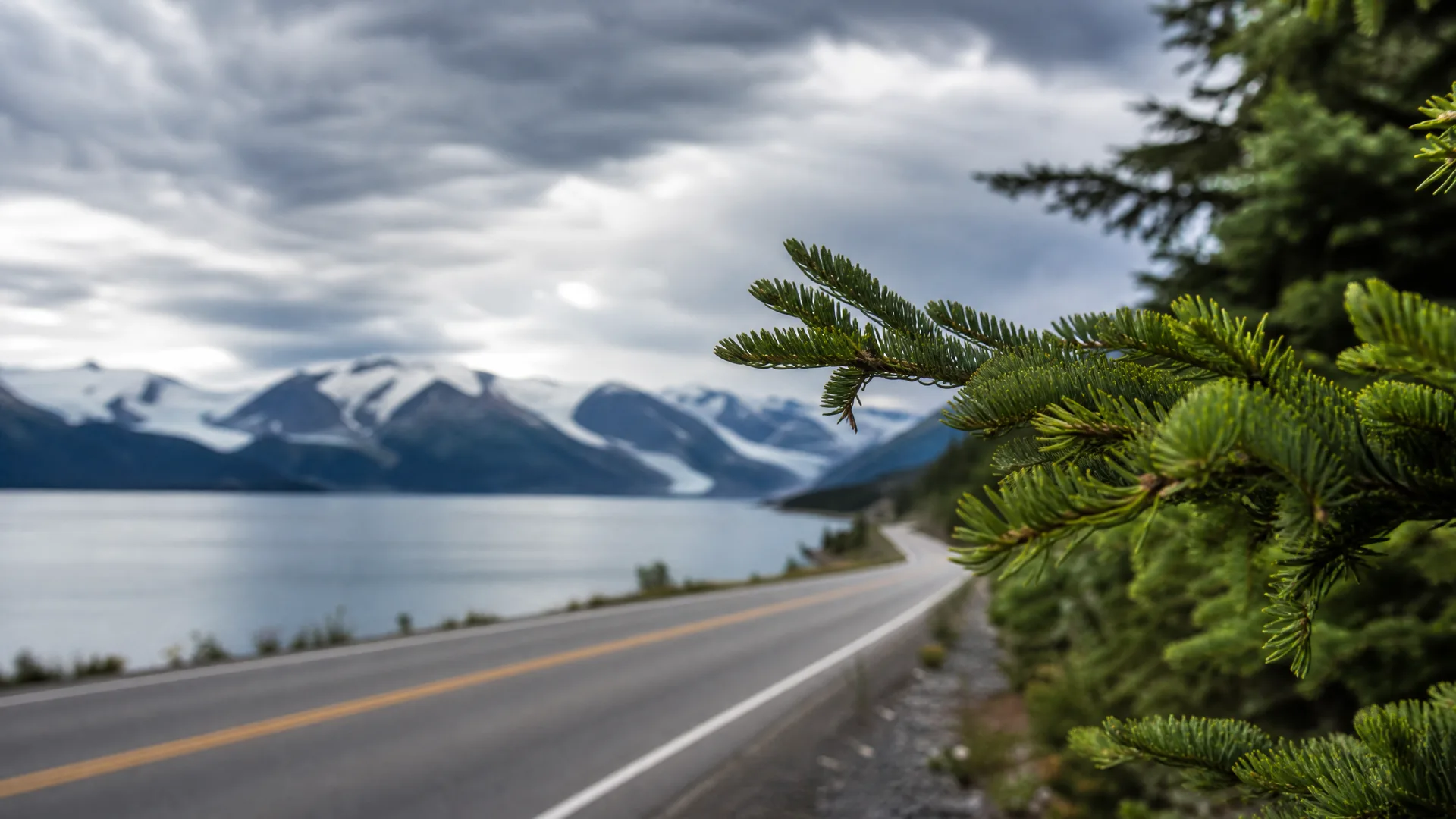 A two-lane paved road curves along a large body of water beneath snow-capped mountains and an overcast sky, with a sharply focused conifer branch in the right foreground.