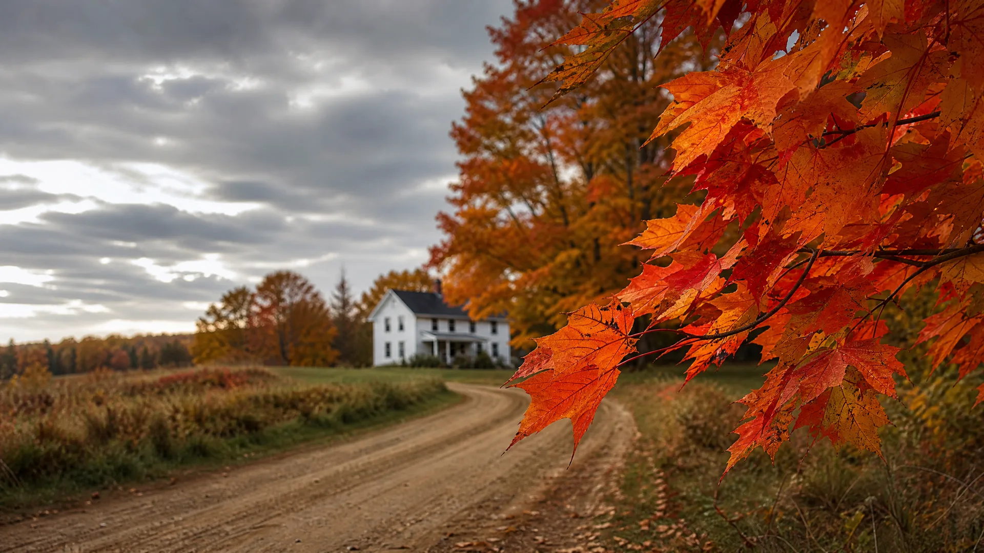 A dirt road curves past a white two-story farmhouse and open fields under an overcast sky, with orange and red maple leaves filling the right foreground.